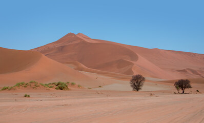 Fototapeta na wymiar Orange big sand dune with blue sky - Sossusvlei, Namib desert, Namibia, Southern Africa