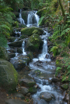 Waterfall at Fraga do Eume, Galicia, Spain