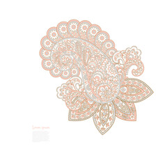Paisley isolated pattern. Floral Vintage illustration
