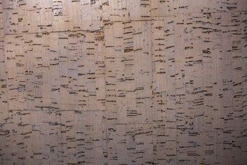 Texture light brown cork tree bark. Close up background. Cork board wood surface