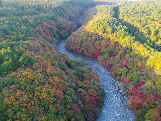 Fall foliage scenery shot with a drone