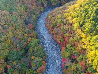 Fall foliage scenery shot with a drone