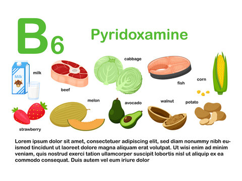 Rectangular poster with food products containing vitamin B6. Pyridoxamine. Medicine, diet, healthy eating, infographics. Products with the name.Flat cartoon food illustration isolated on white.