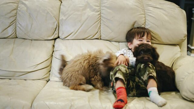 Asian Kid of two years plays with a puppy, laughs and has a good time with his pet
