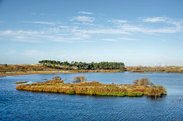 Small island in a lake in the dunes of Zuid-Kennemerland national park near Haarlem, The Netherlands, with the steelworks of IJmuiden in the distance