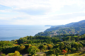 Scenic Autumn Mountain view and Sagami bay in Kanagawa, Japan - 日本 神奈川県 小田原...