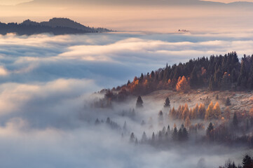 Fototapeta na wymiar Misty autumn mountains landscape in the morning, Poland, Beskidy mountains