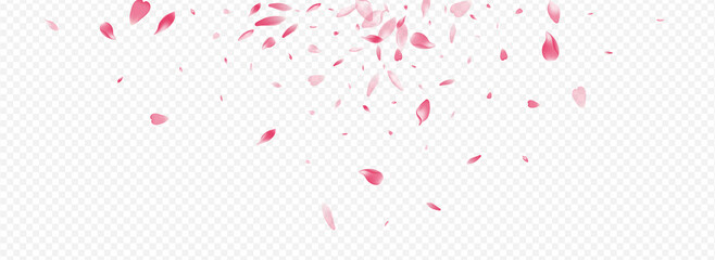 Color Rosa Vector Panoramic Transparent