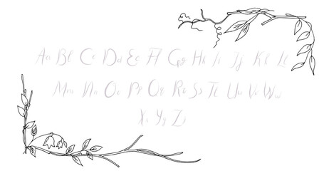 Frame, frames from plants, branches, leaves. Place for text, banner, border. Vector illustration.