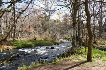 ⒒月、秋の軽井沢へ行ってきました、紅葉の葉も散り町は冬の準備中、