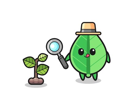 green leaf detective examining plant clip art preview