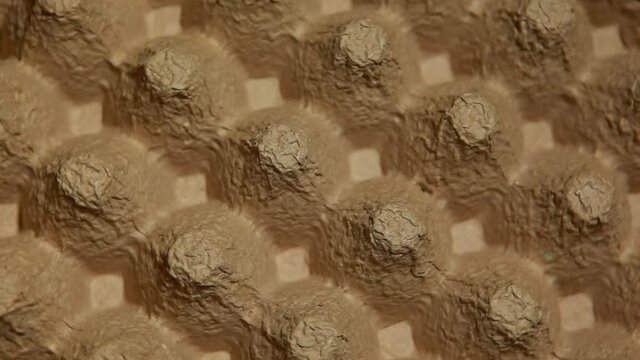 footage of egg box background