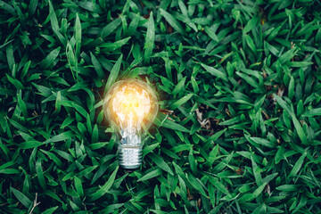 Closeup light bulb on green nature background, eco concept.