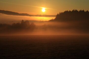 Fototapeta premium sun rays in foggy morning