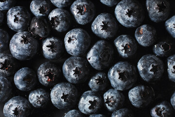 Water drops on ripe sweet blueberry. Fresh blueberries background with copy space for your text. Vegan and vegetarian concept. Macro texture of blueberry berries.