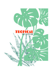 Background with a monstera leaf and aloe. Graphic poster with tropical leaves. Illustration of exotic nature with foliage. Silhouettes plants on a white for a fashion label, beach collection.