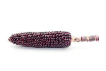Fresh red corn isolated on white background ( Siam Ruby Queen )