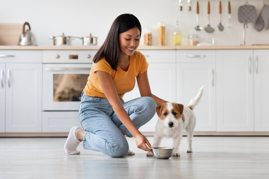 Can Dogs Have Mustard? Risks and Safe Alternatives Discover the truth about feeding mustard to dogs. Learn about the risks, safe alternatives, and how to keep your furry friend healthy. Click for more!