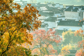 a village in the autumn foggy morning