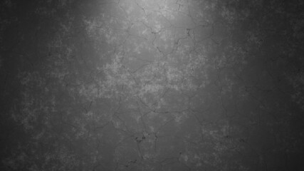 The background is clean. concrete wall