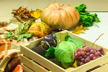 Harvest on the kitchen table. Wooden box with cabbage, apples, pears, grape, turnip, kohlrabi and...