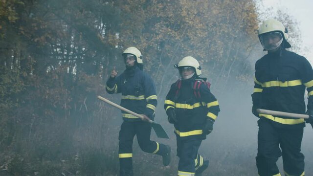 Firefighters men and woman at action, running through smoke to stop fire in forest.