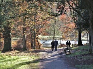 Autumn in the park