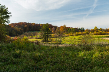 Photo of meadow nature, during autumn fall season in Krakow, Poland