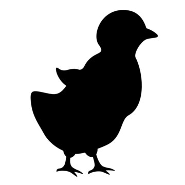 recommend clip art: Сhicken silhouette vector icon