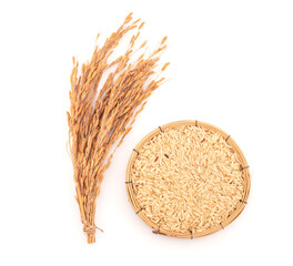 Brown jasmine rice seeds and ear of rice isolated on a white background.top view,flat lay.