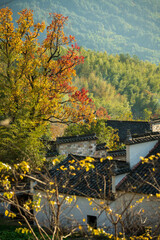 Naklejka premium Chinese Hui style buildings in autumn season