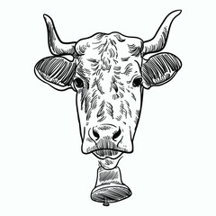Vintage hand drawn sketch buffalo curved horn head co bell