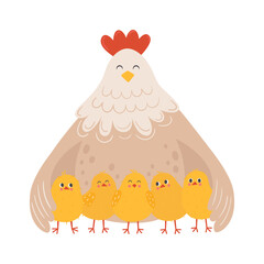 Cute mother hen hugging her little chicks. Chicken family vector illustration in flat style. Domestic poultry birds isolated on white background