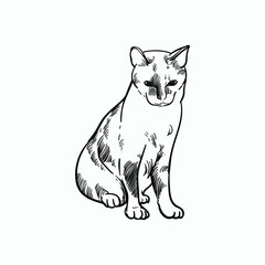 Vintage hand drawn sketch wink eye cat