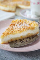 Italian ricotta (cottage cheese) grated tart