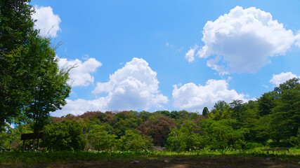 夏の青空