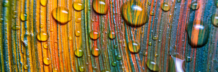Colorful multicolored paint covered with water drops, theme wallpaper background. Selective focus....