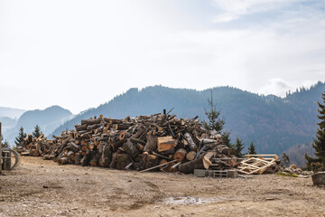 Obraz premium Bunch of wood in the mountains. Breathtaking view