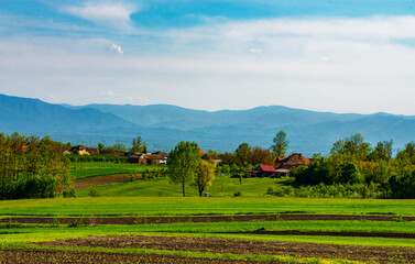 Fototapeta na wymiar Green meadows, arable land and blue mountains in the background