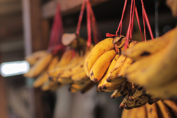 Bananas