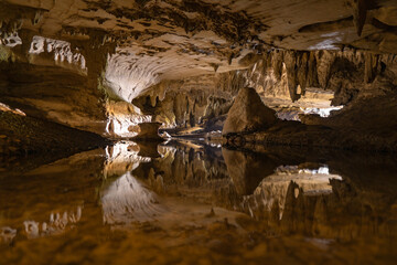 Illuminated Glow Worm Sky in Dark Cave, Waipu Caves, North Island, New Zealand