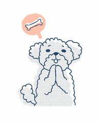 おやつをおねだりしているプードル