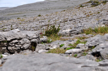 irlande étrange