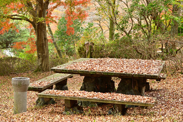 It's starting to feel more like autumn every day