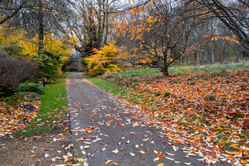 Petworth House Gardens Autumn Clour