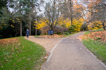 Petworth House Gardens Autumn Clour