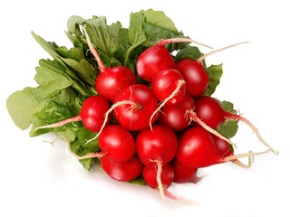bunch of red radishes isolated