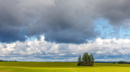Before a thunderstorm, clouds over a green field with a lonely tree