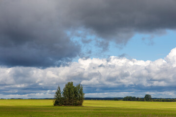 Before a thunderstorm, clouds over a green field with a lonely tree