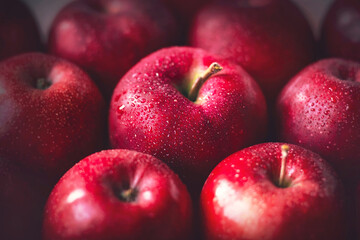 Large scarlet delicious ripe apples are covered with drops of water. Harvest of healthy fruits. Proper nutrition and diet. Vegetarianism.